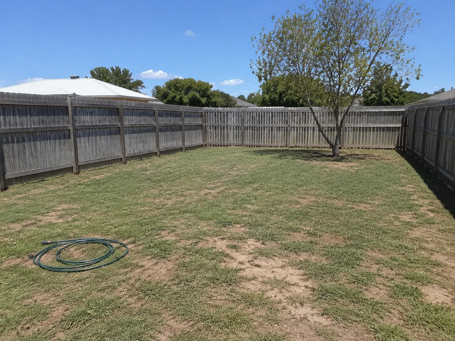 Original yard photo