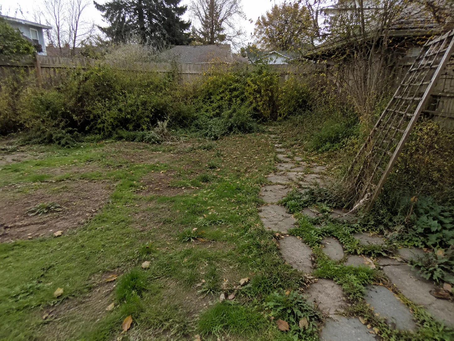 Original garden photo