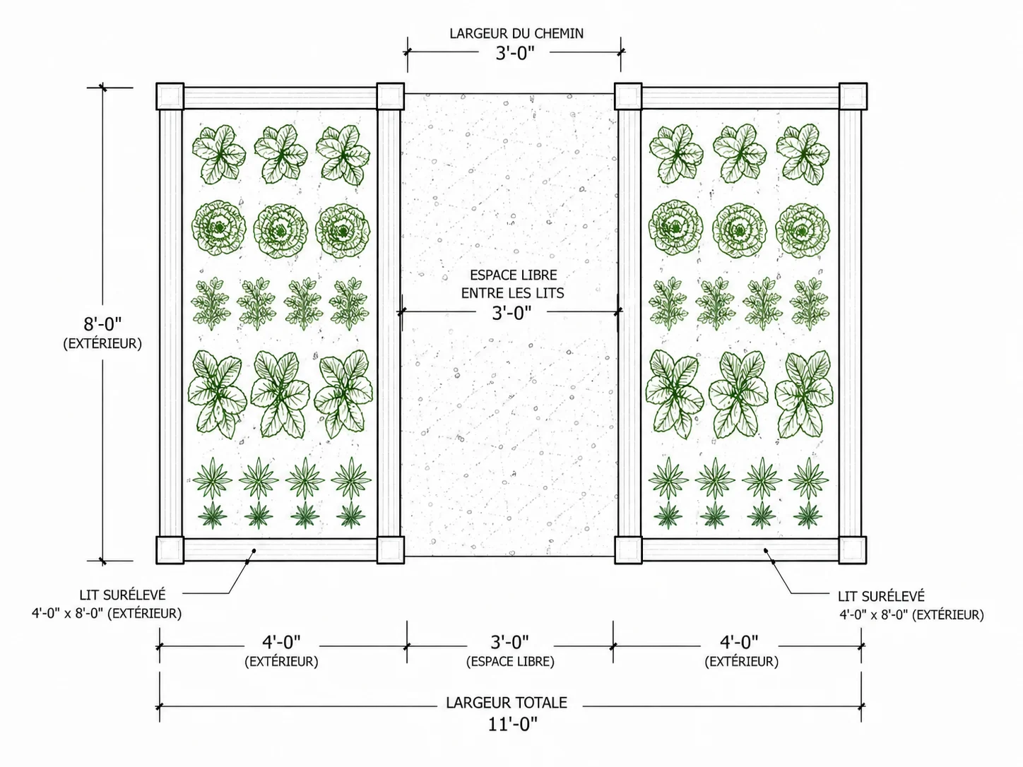 Plan de parterre de jardin avec espacements à l'échelle réelle