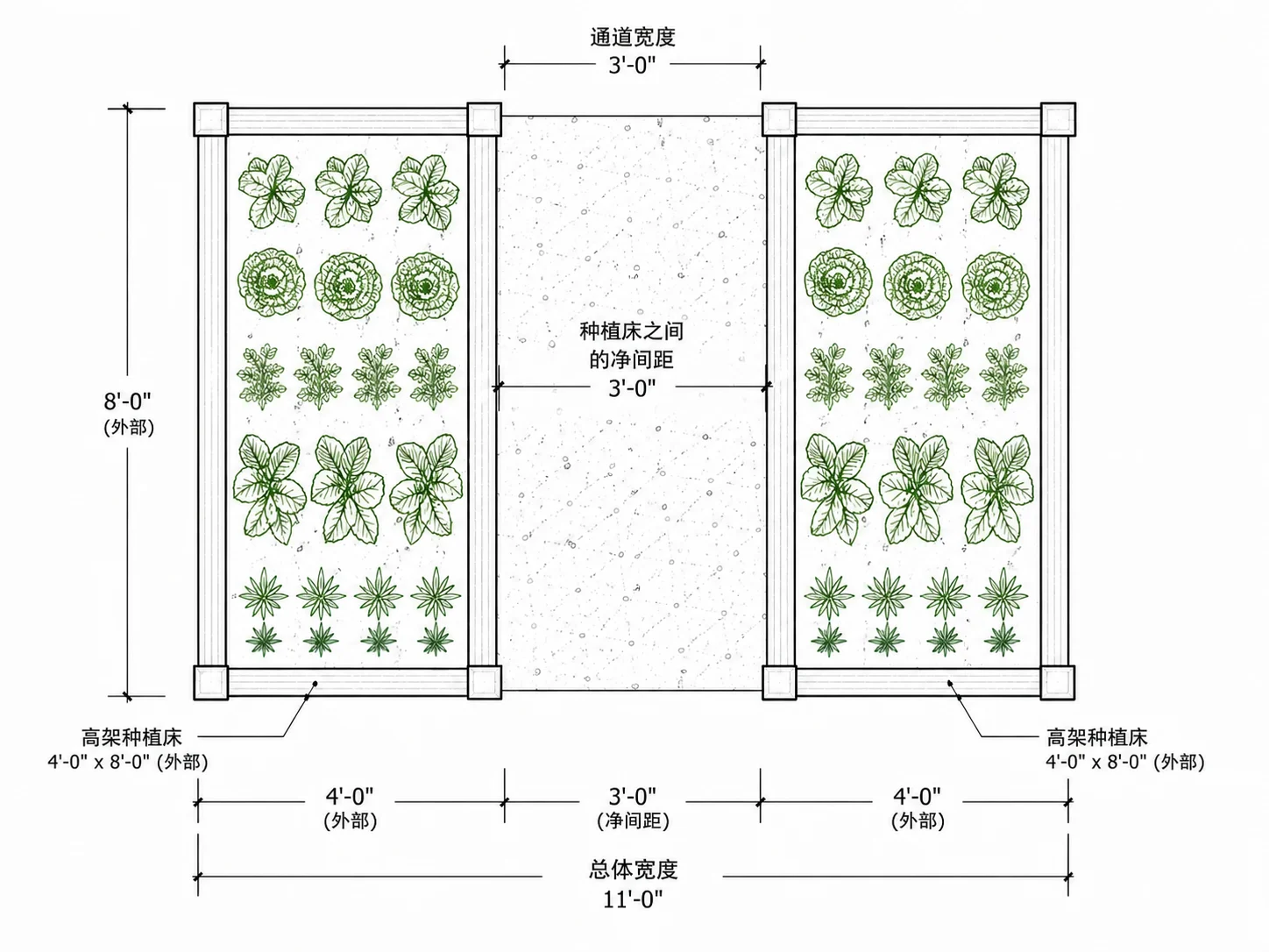 显示真实间距的花园花坛规划布局图