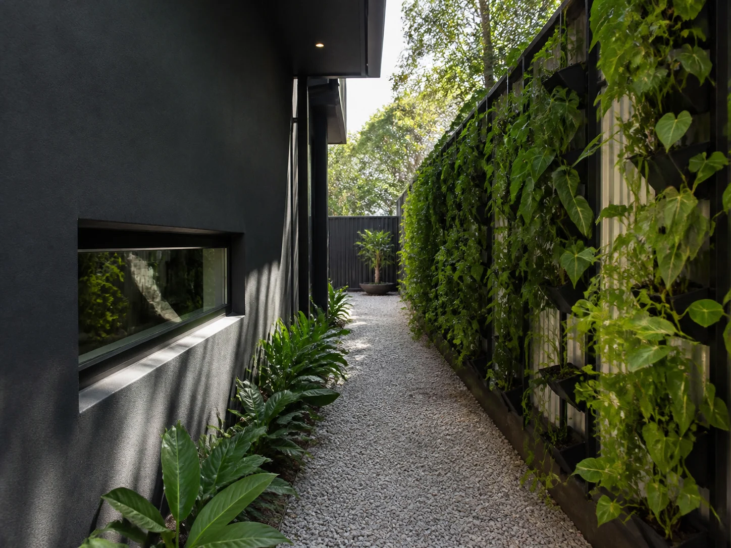 Modern side yard passage with gravel path and vertical planting
