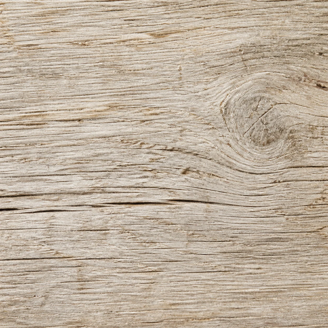 Texture in legno di rovere chiaro decapato